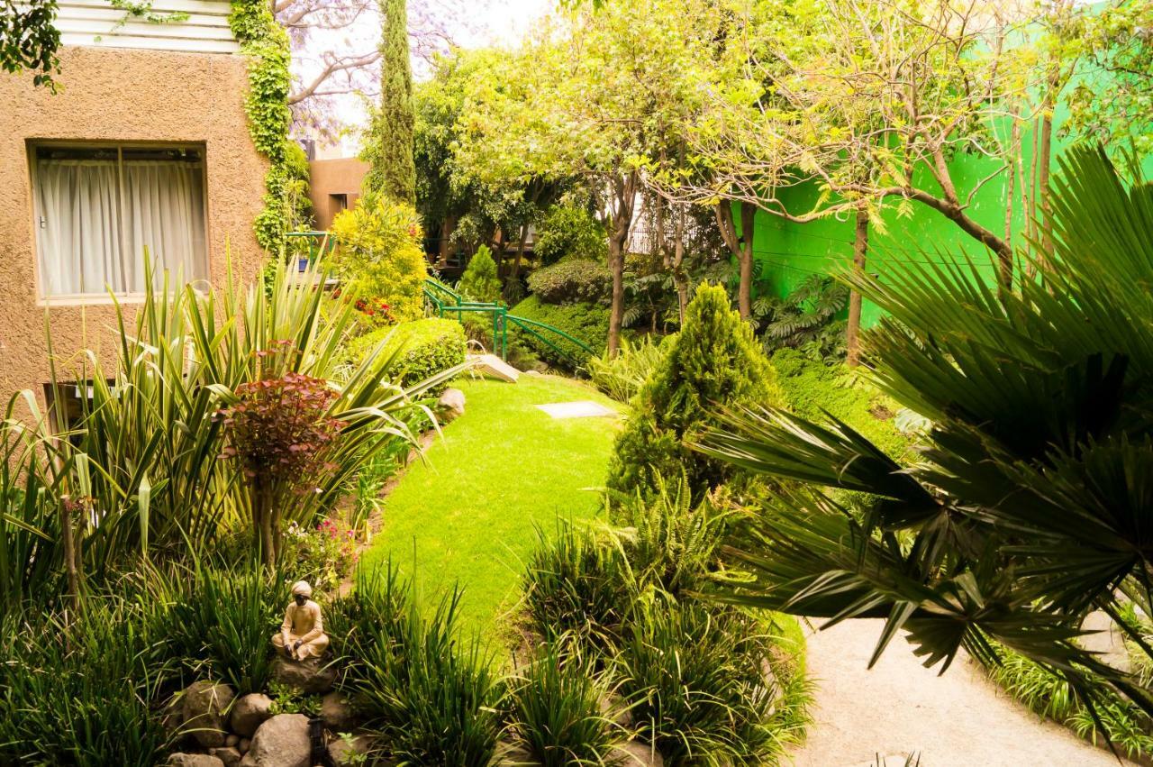 Suite 4A, Terraza, Garden House, Welcome To San Angel Мехико Экстерьер фото